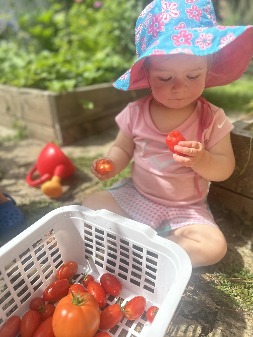 Healthy Organic Meals for Children